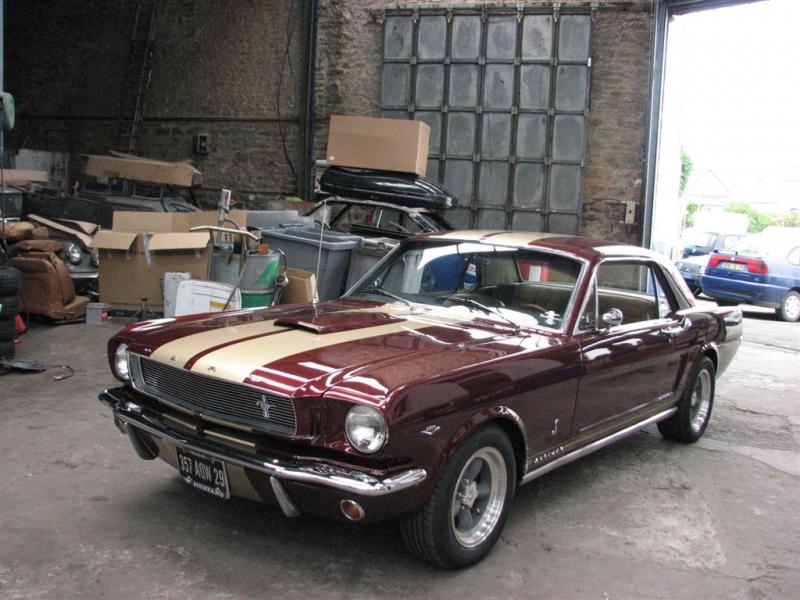 stang5-10 008.jpg